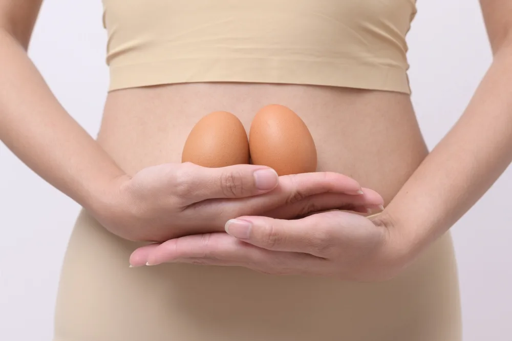 Egg Freezing Service Process process overview