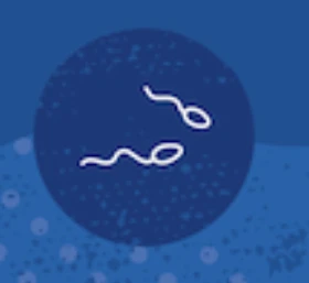Sperm Donation service icon